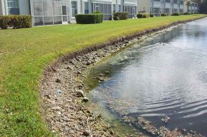 View of severe escarpment erosion on lake shore.